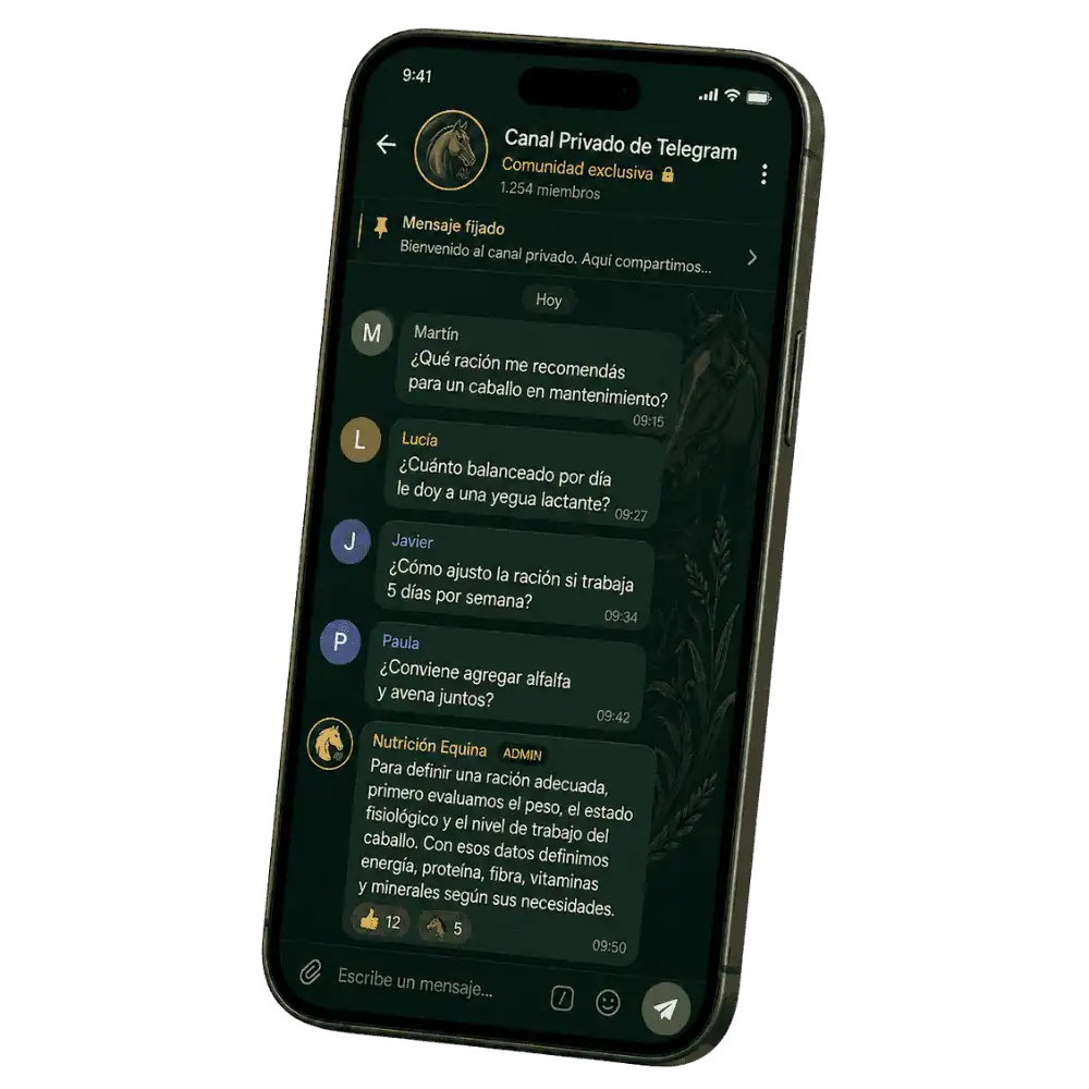 Canal Privado de Telegram para Soporte Exclusivo