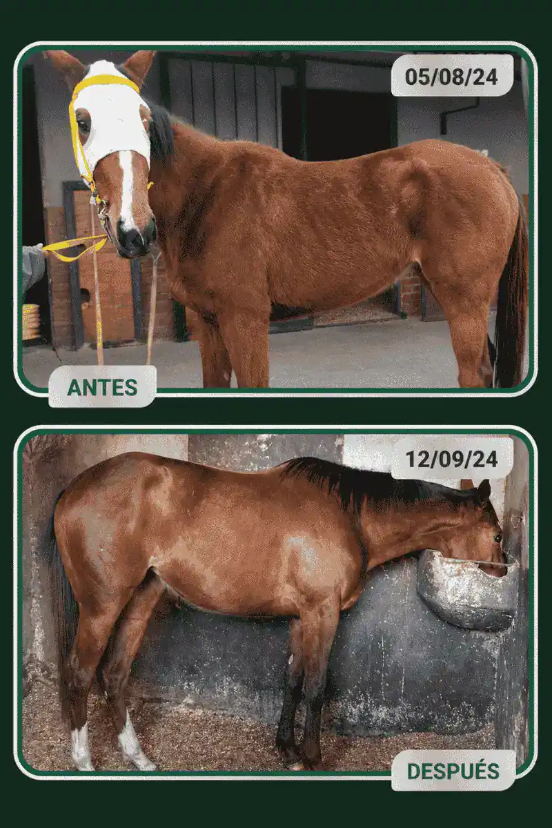 Resultado real alumno 2
