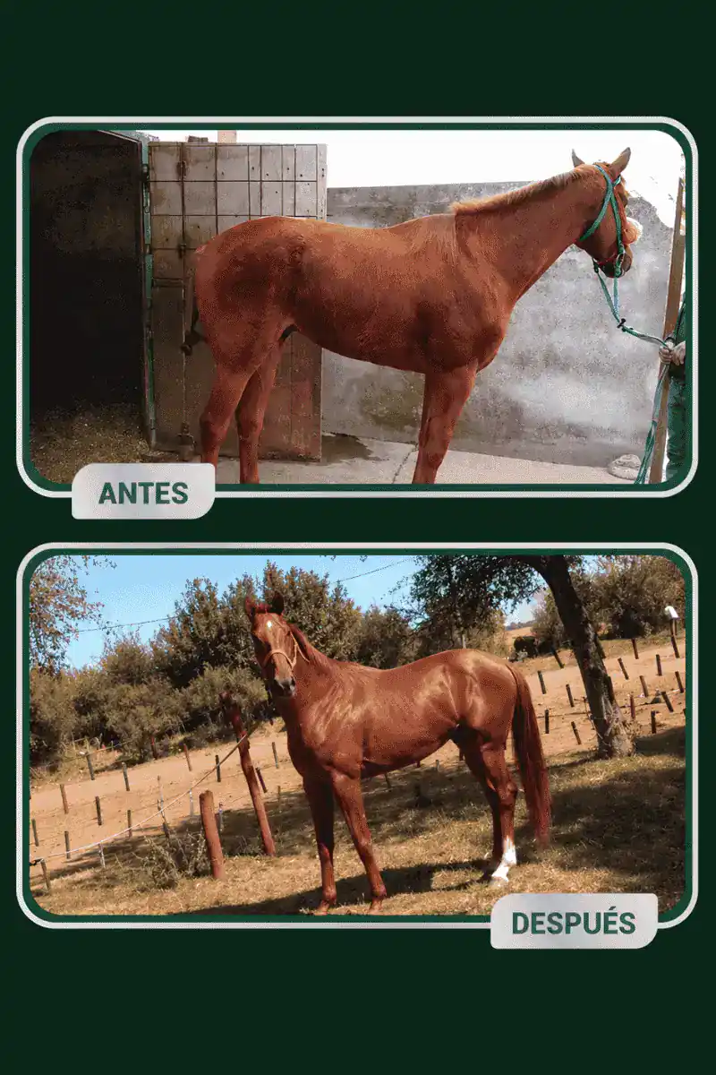 Resultado real alumno 5