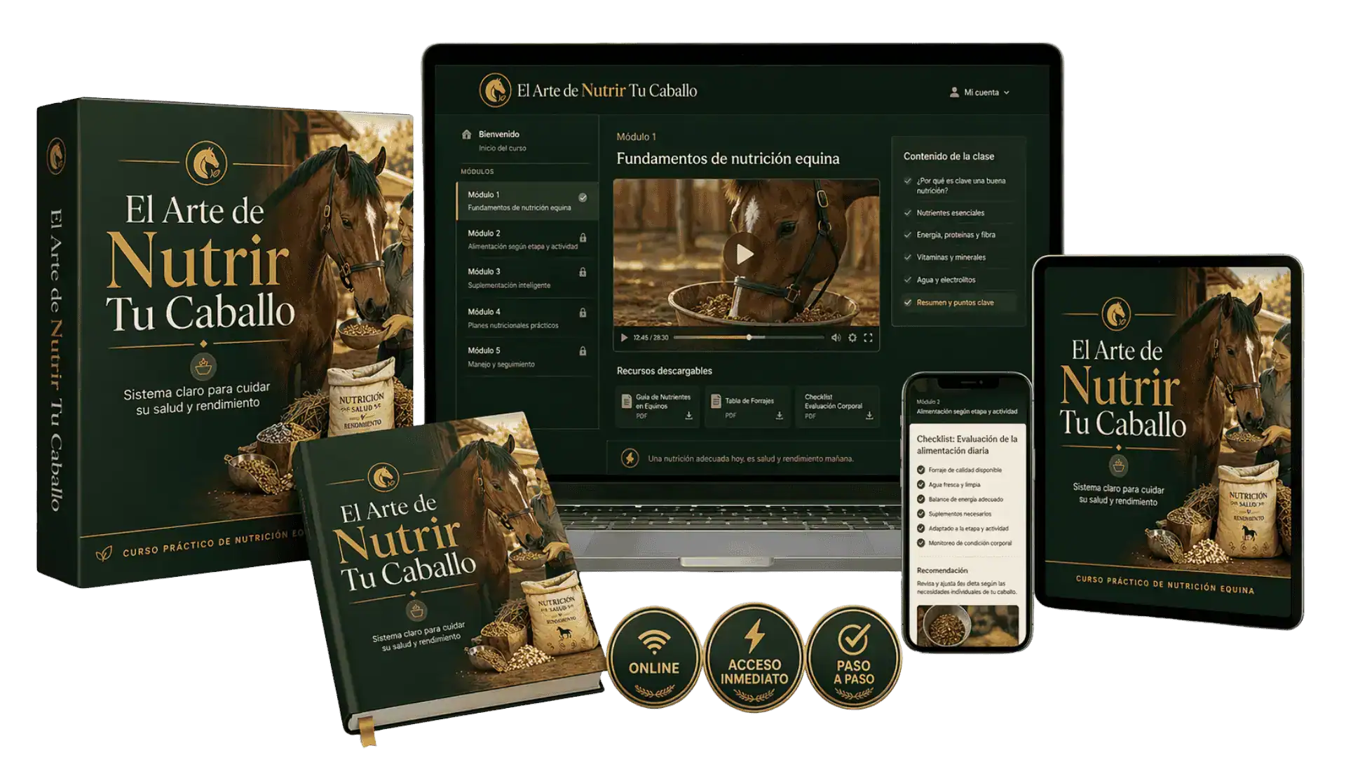 Mockup solución del problema curso de nutrición equina
